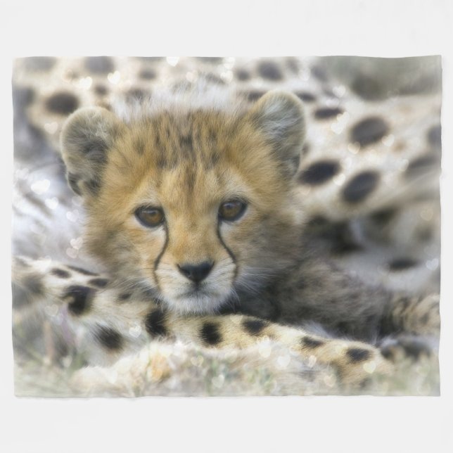 Manta Polar Baby Cheetah Fleece Blanket (Frente (Horizontal))