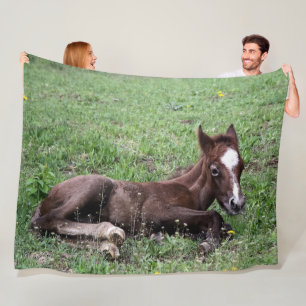 MANTA POLAR BABY HORSE