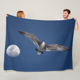 MANTA POLAR BAJA MOON FLIGHT