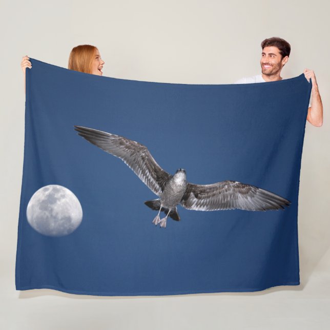 MANTA POLAR BAJA MOON FLIGHT (In situ)