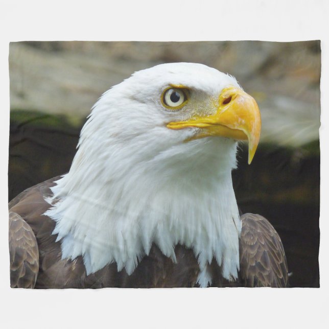 MANTA POLAR BALD EAGLE (Frente (Horizontal))
