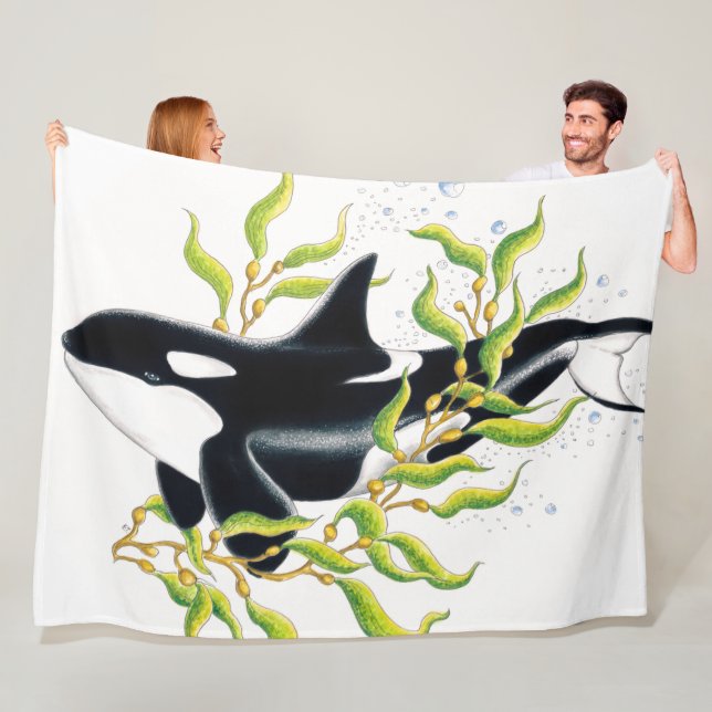 Manta Polar Ballena orca en Kelp Forest (In situ)