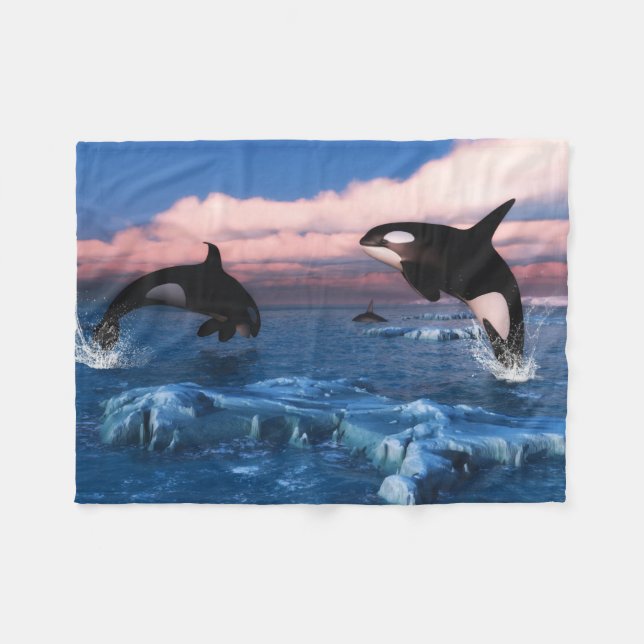 Manta Polar Ballenas Asesinas En El Océano Ártico (Frente (Horizontal))