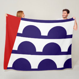 Manta Polar Bandera de Des Moines (ciudad de Iowa)