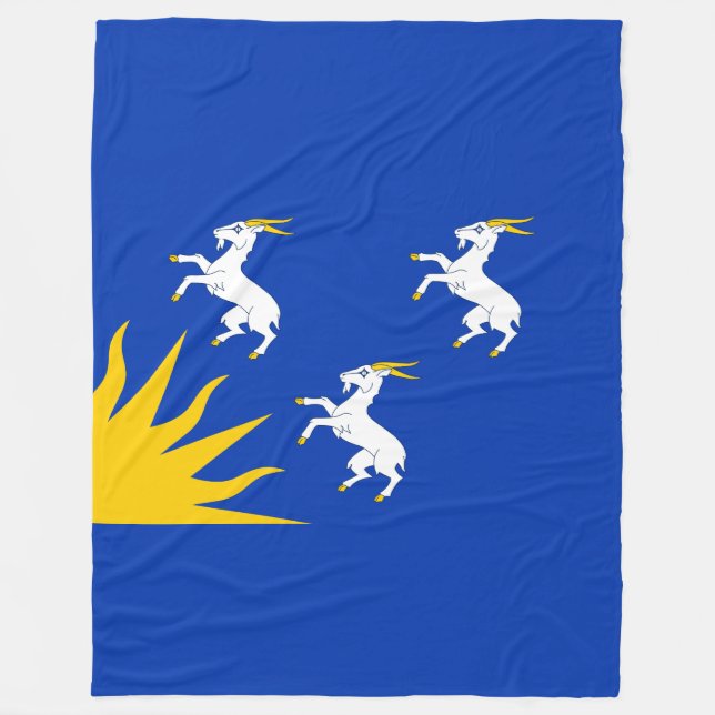 Manta Polar Bandera de Merionethshire Fleece Blanket (Anverso)