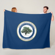 Bandera de North Charleston (Carolina del Sur)