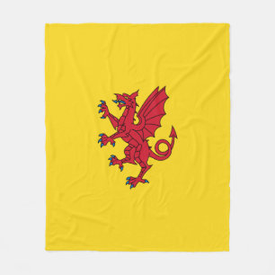 Manta Polar Bandera de Somerset