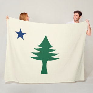 Manta Polar Bandera principal de 1901