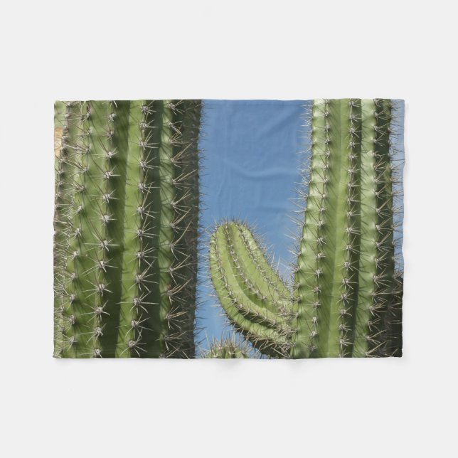 Manta Polar Barrel Cactus I Desert Photo (Frente (Horizontal))