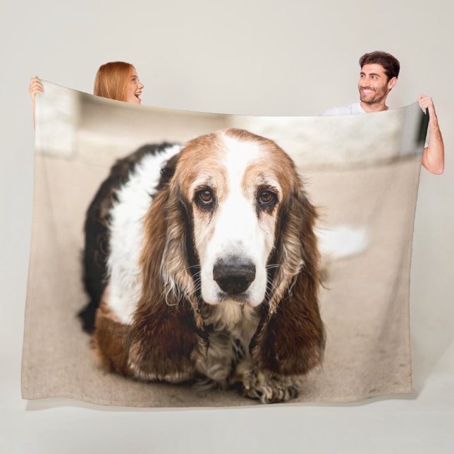 MANTA POLAR BASSET HOUND (In situ)
