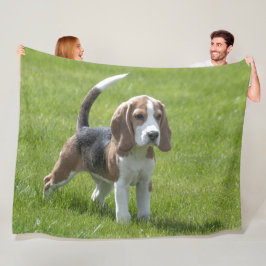 MANTA POLAR BEAGLE PUPPY