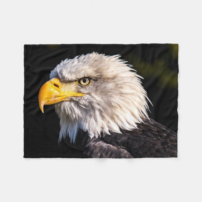 Manta Polar Beautiful Close-up Bald Eagle picture (Frente (Horizontal))