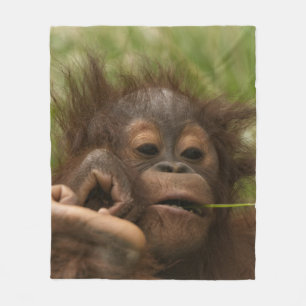 Manta Polar Bebé de Orangutan