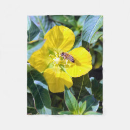 Manta Polar Bee-ing Productive