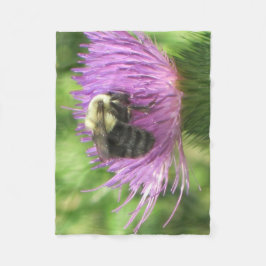 Manta Polar Bee On Thistle
