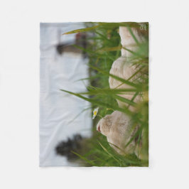 Manta Polar Beer relaxt in natuur met Hollandse molen.