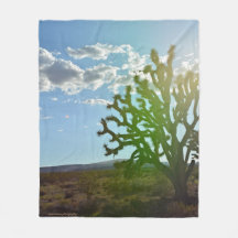 Belleza del desierto