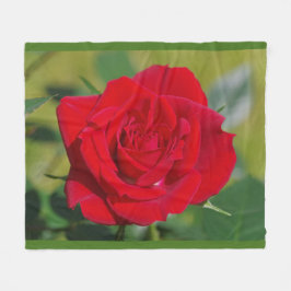 Manta Polar Belleza del rosa rojo