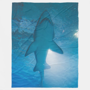 MANTA POLAR BELLY SHARK