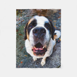 Manta Polar Bernhadiner 