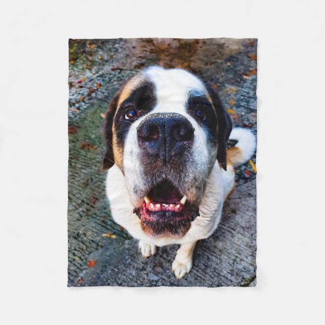 Manta Polar Bernhadiner  (Anverso)