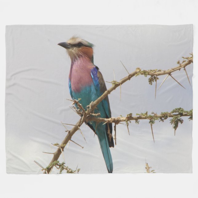 Manta Polar Bird Fleece Blanket (Frente (Horizontal))