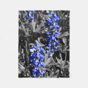 Manta Polar Blanche Bluebonnet