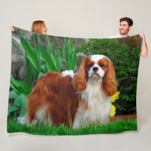 Manta Polar Blenheim Cavalier Rey Carlos Español Perro