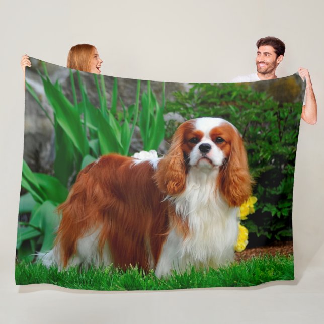 Manta Polar Blenheim Cavalier Rey Carlos Español Perro (In situ)