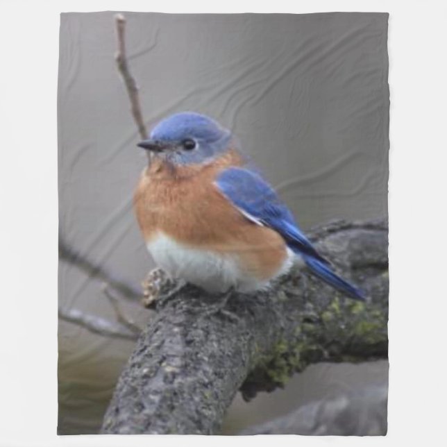 MANTA POLAR BLUE BIRD (Anverso)
