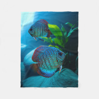 Manta Polar Blue Discus Fish Aquarium Fish Tank Art