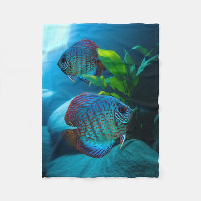 Manta Polar Blue Discus Fish Aquarium Fish Tank Art (Anverso)