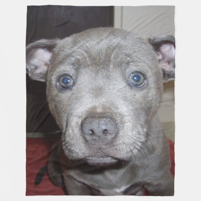Manta Polar Blue Staffordshire Bull Terrier Puppy, (Anverso)