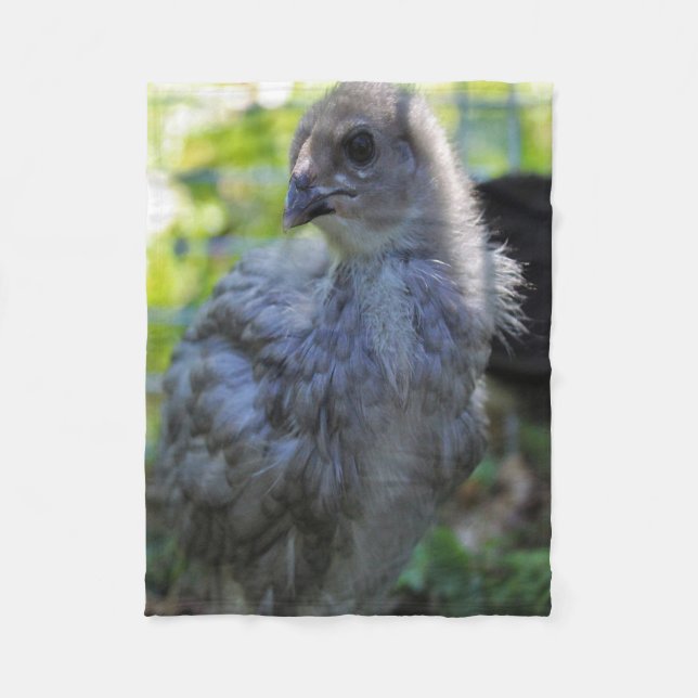 Manta Polar Bluebell (Anverso)