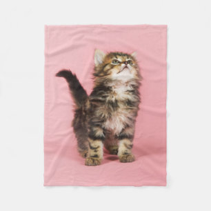 Manta Polar Bonito en gatito rosado