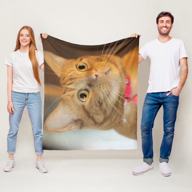 Manta Polar Bonito Penny (In situ)