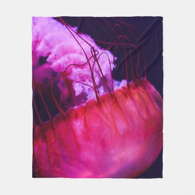 Manta Polar Bonito Seascape (Anverso)