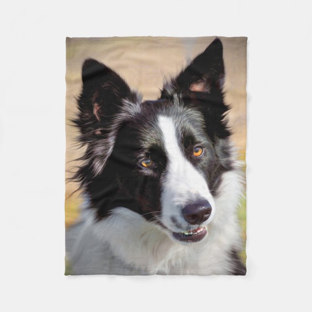 Manta Polar Border collie (Anverso)