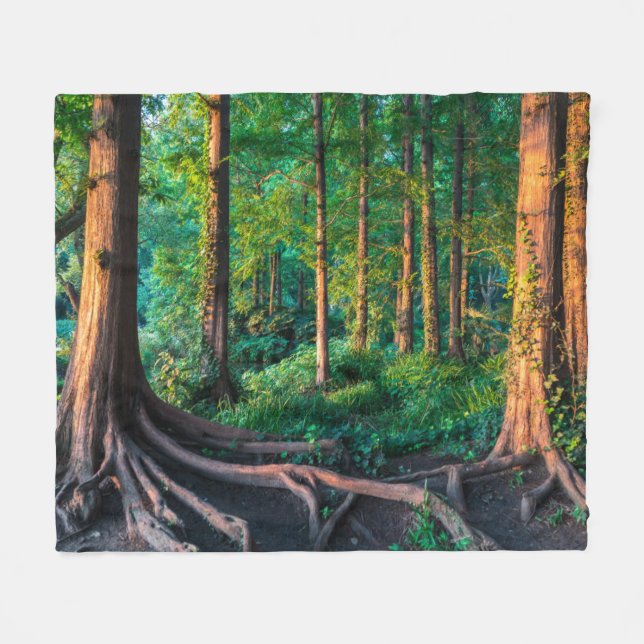 Manta Polar Bosque en verano (Frente (Horizontal))