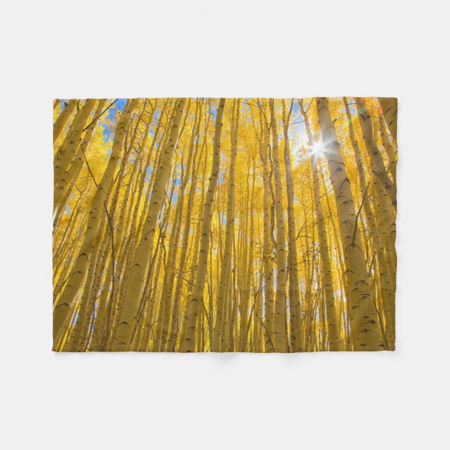 Manta Polar Bosque nacional del río Blanco (Frente (Horizontal))