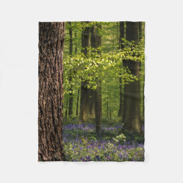Manta Polar Bosques | Bluebells en Bélgica (Anverso)