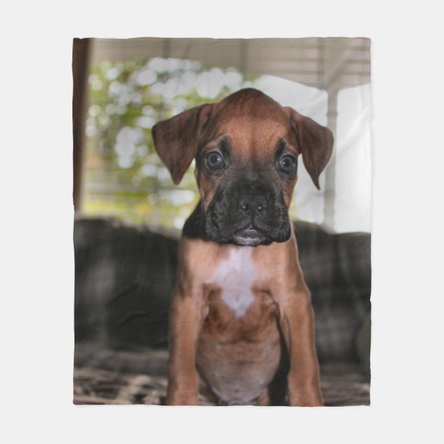 Manta Polar Boxer Baby (Anverso)