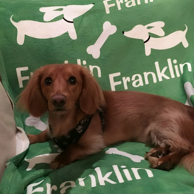 Manta Polar Brown Dachshund Wiener Dog Personalizado Blanket (Dachshund blanket - personalized wiener dog gift )