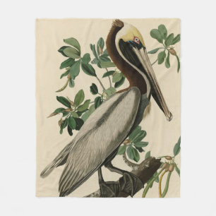 Manta Polar Brown Pelican de los pájaros de América de Audubon