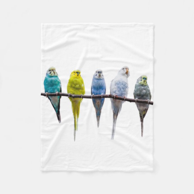 Manta Polar Budgies (Anverso)