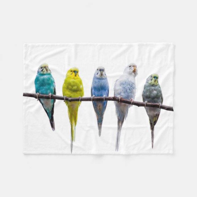 Manta Polar Budgies (Frente (Horizontal))