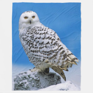 MANTA POLAR BÚHO DE LA NIEVE