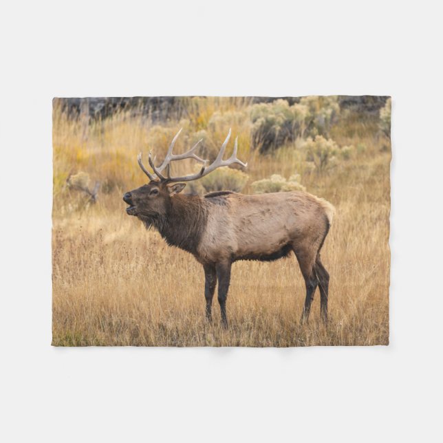 Manta Polar Bull Elk | Parque nacional Yellowstone (Frente (Horizontal))