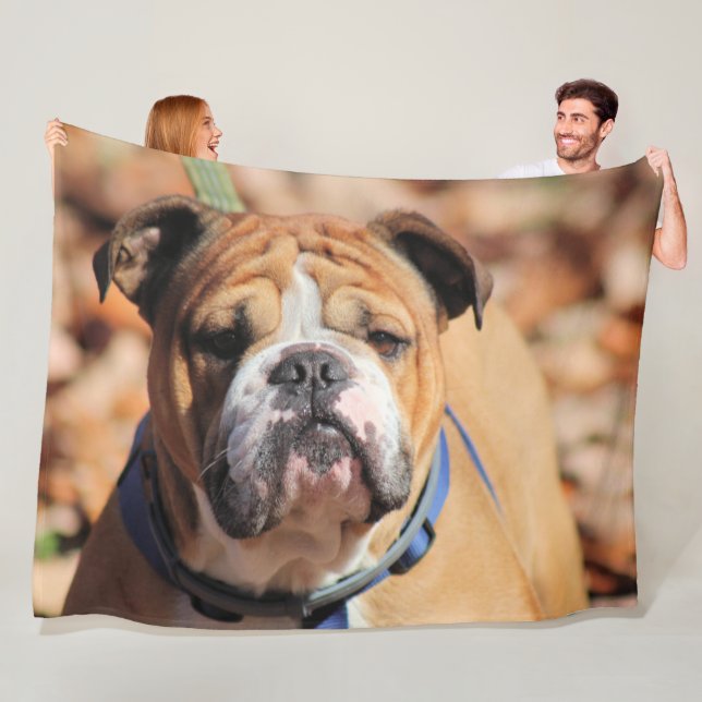 Manta Polar Bulldog Buddy (In situ)