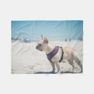 Manta Polar Bulldog francés en la playa